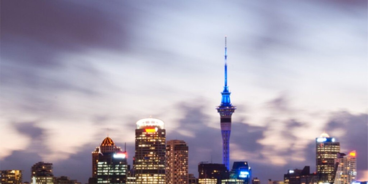 What programs and courses are offered in Zealand for international students?