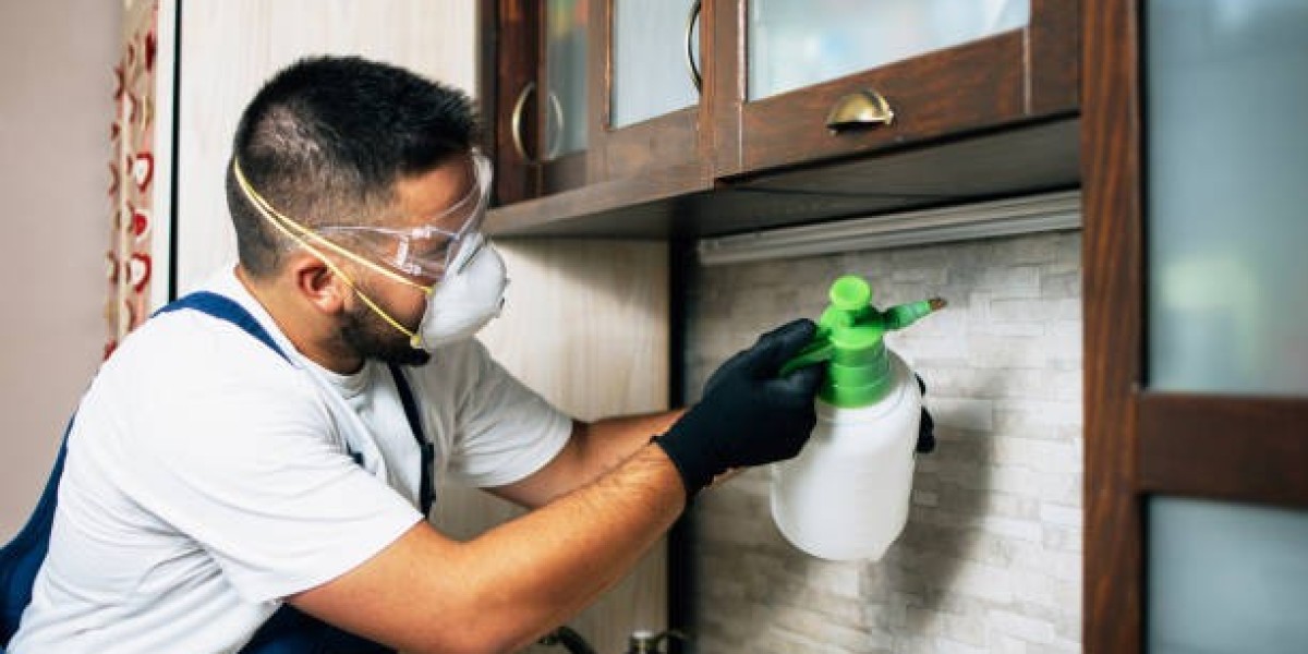 The Ultimate Guide to Pest Control: Keep Your Home Pest-Free