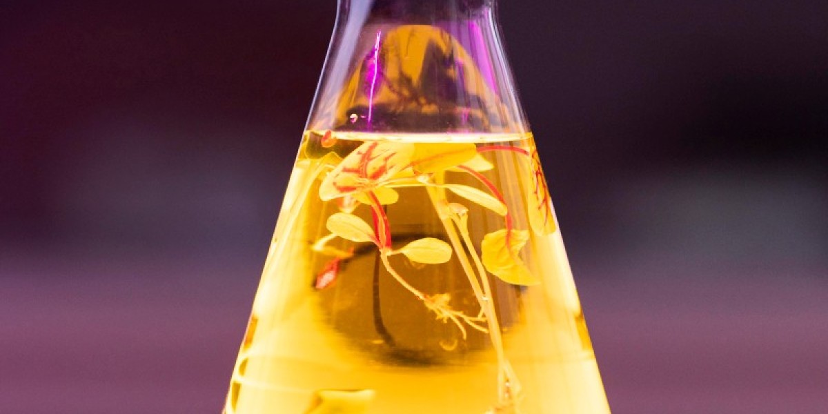 Peracetic Acid: A Powerful Solution for Effective Disinfection