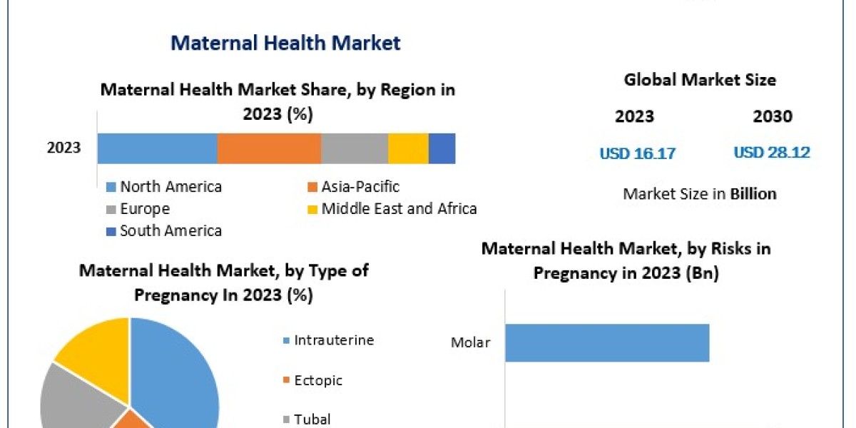 Global Maternal Health Market Growth Forecast: Nearly USD 28.12 Billion by 2030