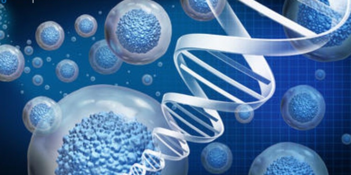 Europe Stem Cell Assay Market Size, Share, Growth, Trends & Outlook | 2024 - 2032