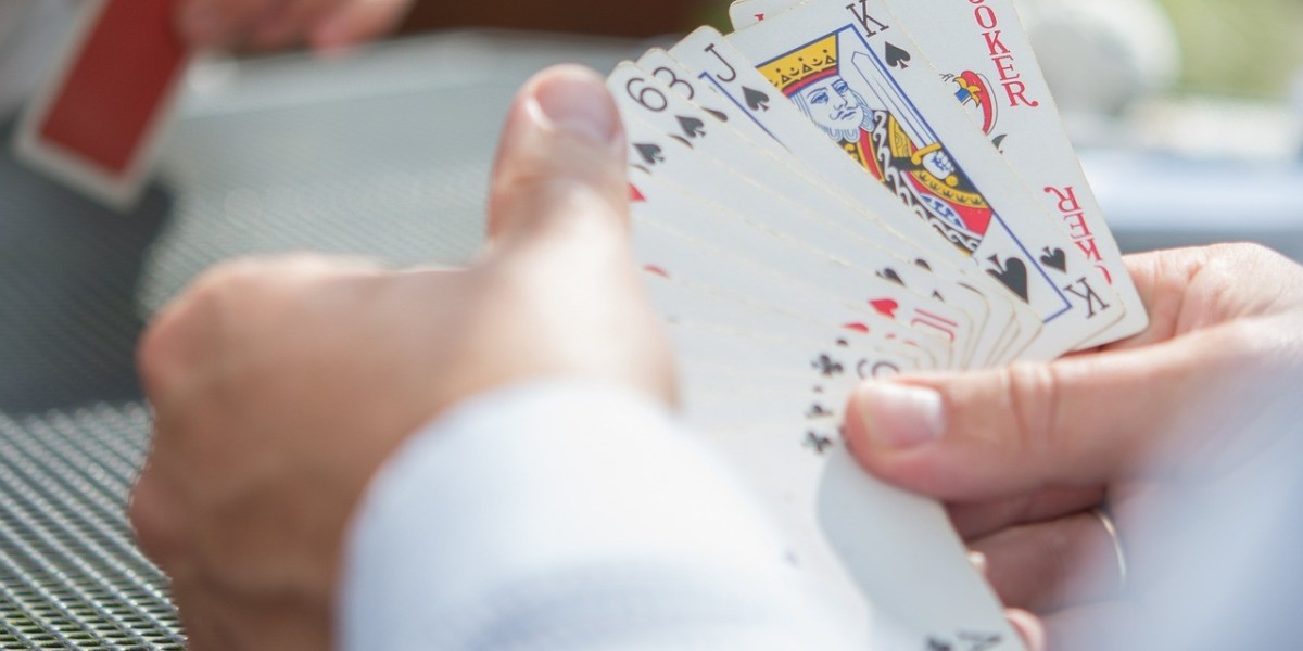 Reddy Anna Book Official: Your Ultimate Betting Companion