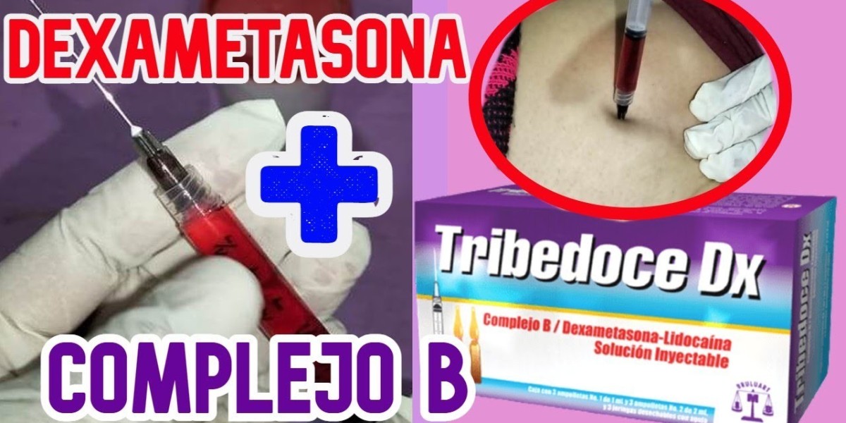 Ruda propiedades y beneficios para la salud de esta planta
