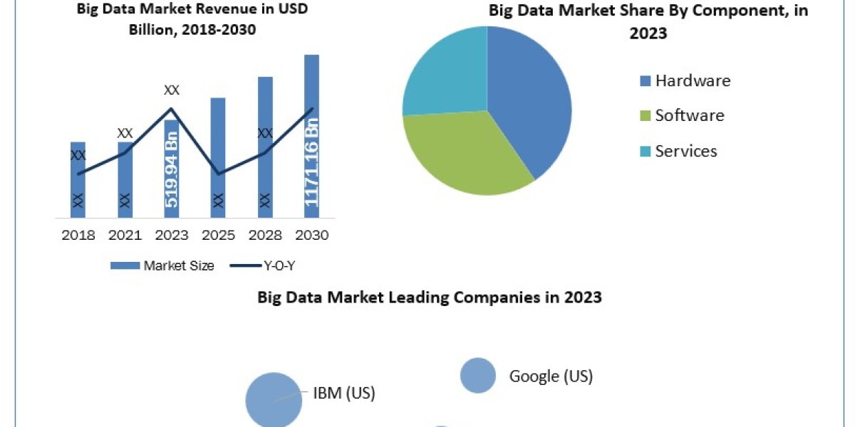 Big Data Companies is Booming in Upcoming Years with CAGR Status, Size, and Segmentation [2024-2030]