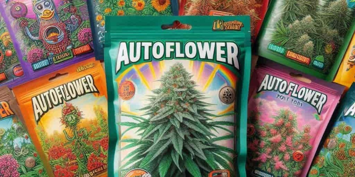 Understanding Florida Cannabis Seed Laws: What You Need to Know