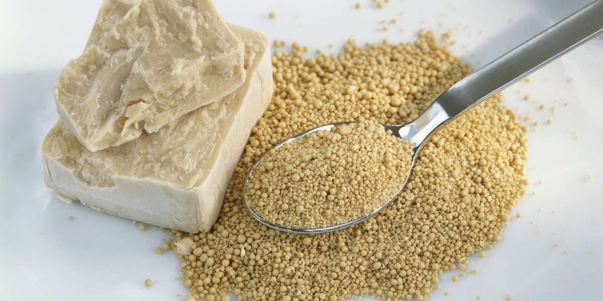 Yeast Manufacturing Plant Project Report 2024: Manufacturing Process, Cost and Requirements