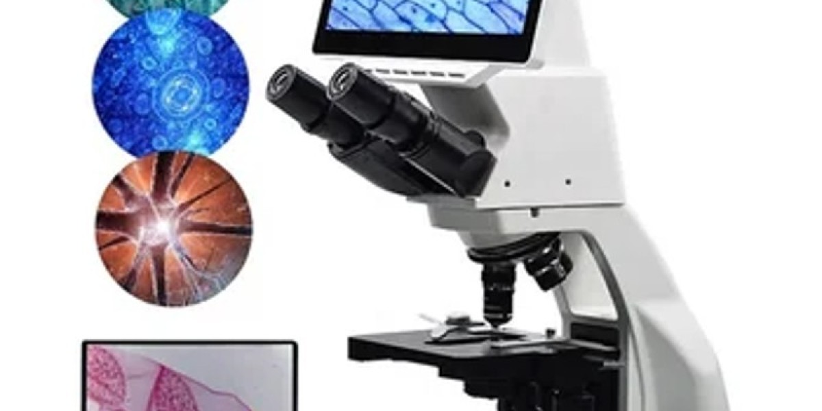 Flow Imaging Microscopy Analysis: A Powerful Tool for Particle Characterization