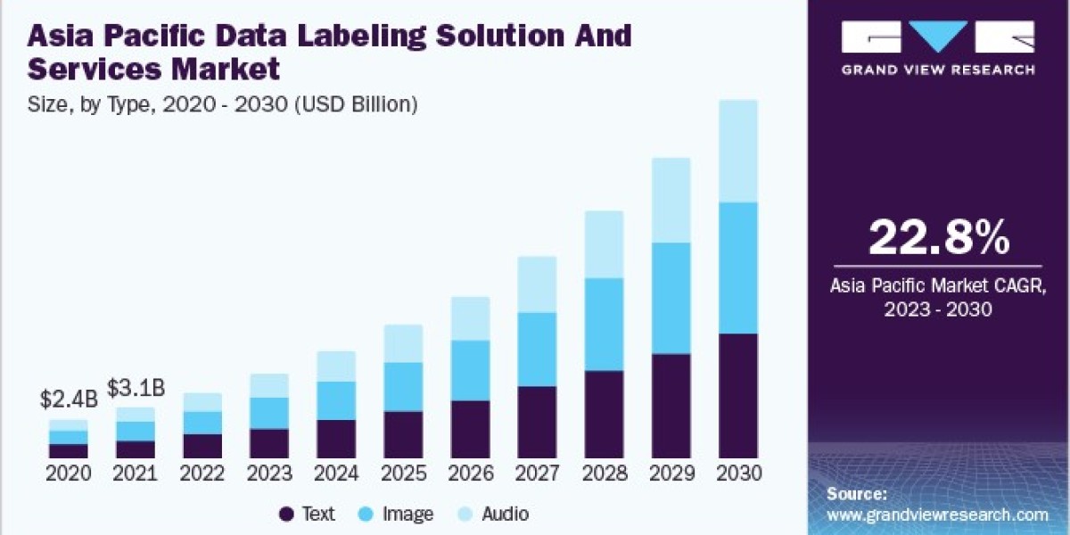 Data Labeling Solution And Services Market 2030: Addressing Data Privacy Concerns