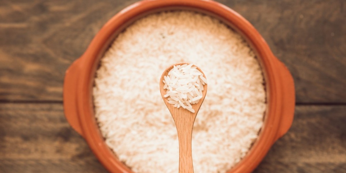 "China Rice Protein Market: Growth Trends and Future Outlook"