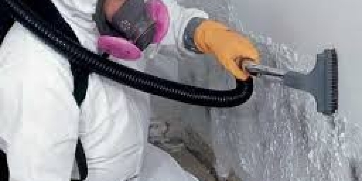 "The Growing Demand for Mold Remediation Services: Insights and Market Trends"