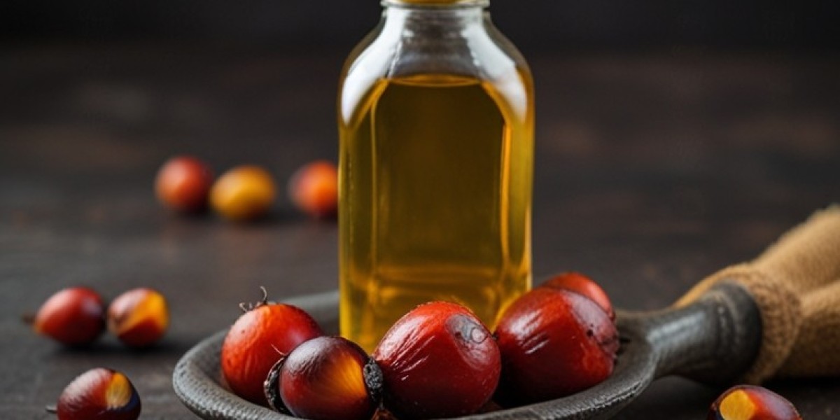 Analyzing RBD Palm Oil Prices, Latest Trend & Forecast