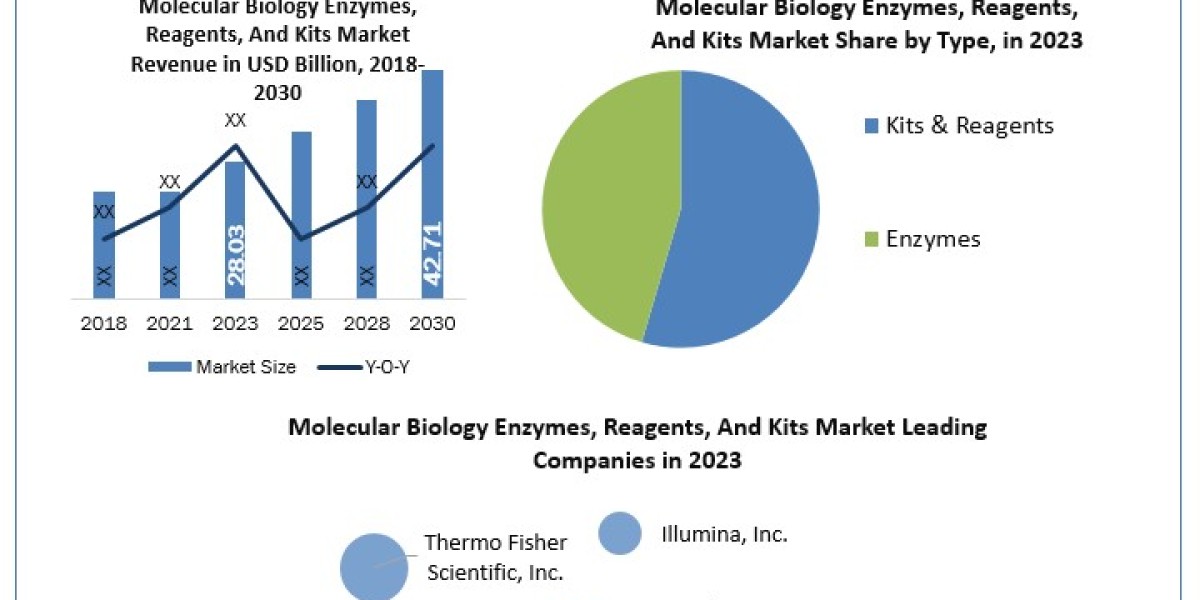 Molecular Biology Enzymes, Reagents, and Kits Market SWOT analysis, Growth, Share, Size and Demand outlook by 2030