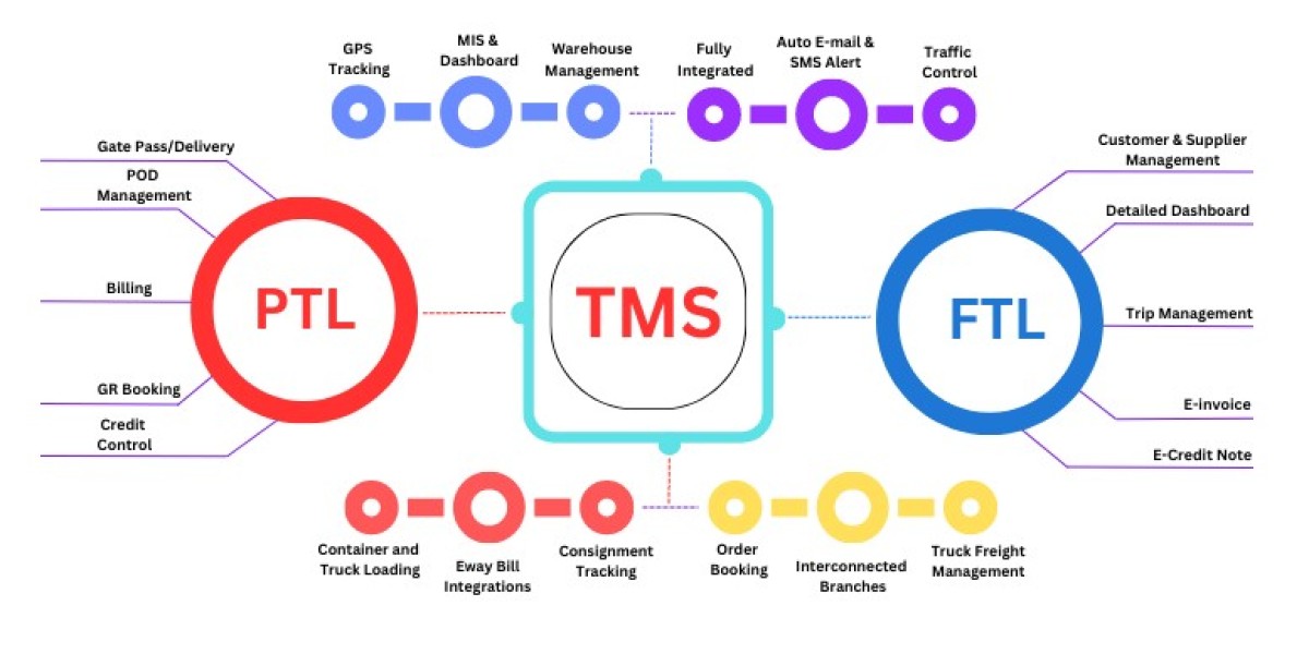 Cloud-Based Solutions Drive Growth in Global Transportation Management System Market