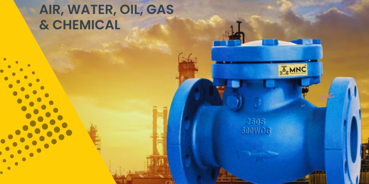 Non Return Valve Manufacturer and Exporter in India