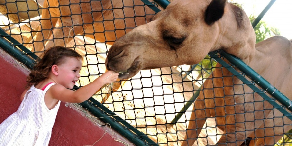 A Simple Guide to Sharjah’s Top Tourist Attractions