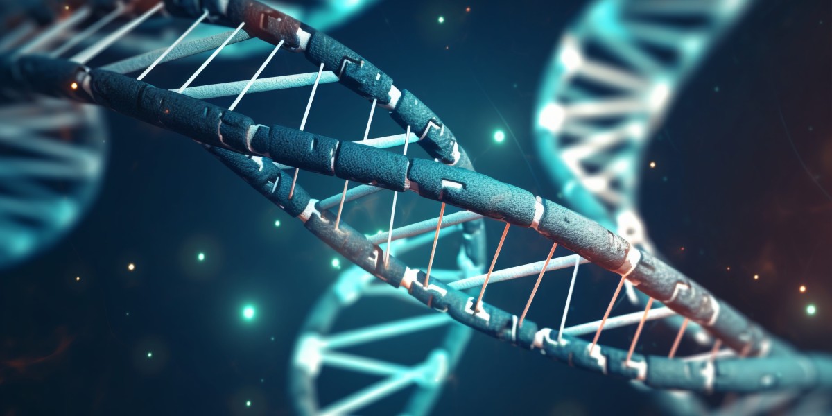 Comprehensive Insights into the Myotonic Dystrophy Market: Trends, Forecasts, and Treatment Landscape