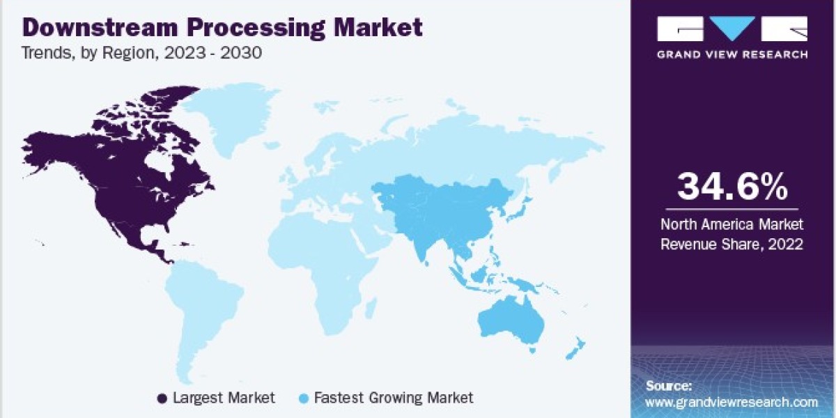 Downstream Processing Market: The Impact of Technology on Efficiency and Productivity