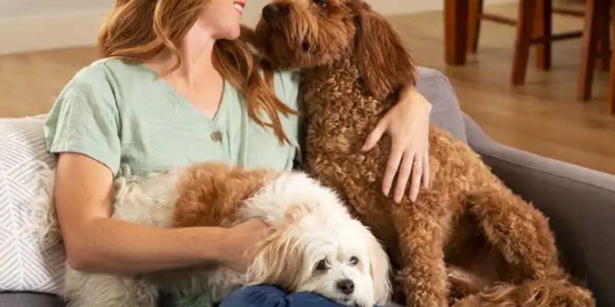 Why Your Dog's Coat Needs Extra Care: Top Supplements to Try