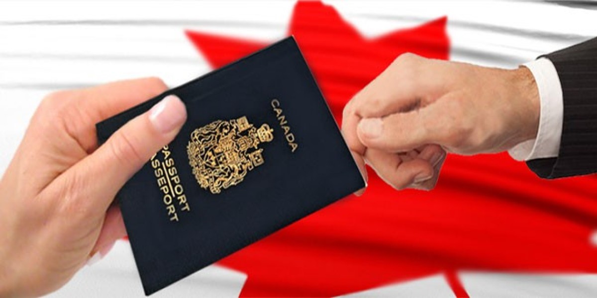 How to Use the Canadian Visa Points Calculator to Boost Your Immigration Chances?
