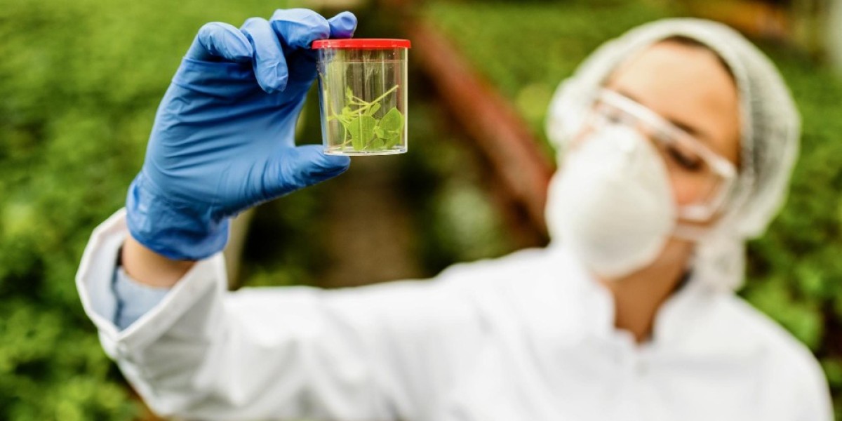 Germany Bio-Polybutadiene Market: Sustainable Growth and Future Trends