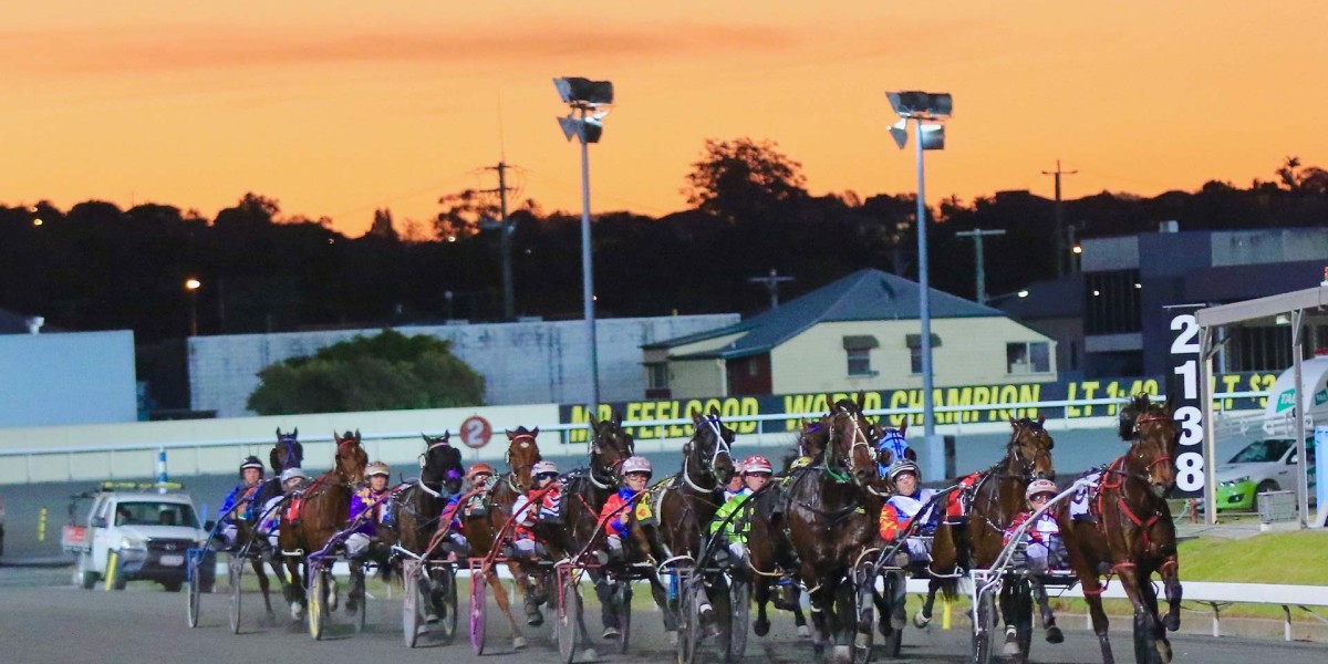 harness racing drivers in brisbane