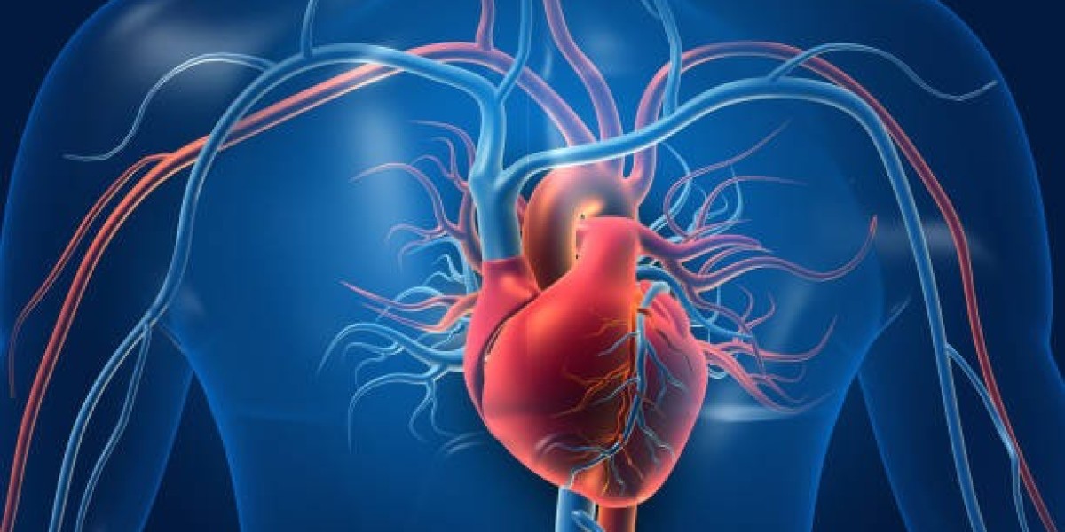 Everything You Need to Know About Vascular Surgery in Riyadh