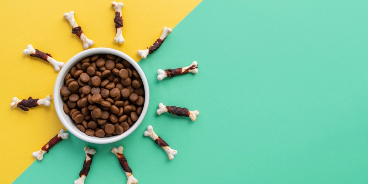 "The Future of China's Pet Food Industry: Key Insights"