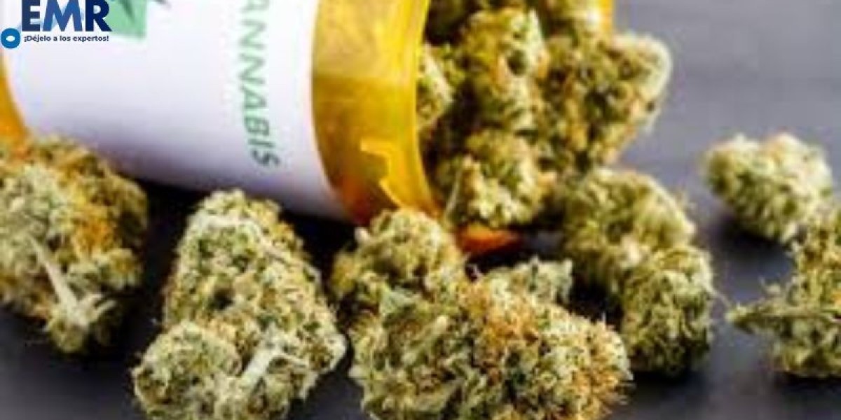 Crecimiento del Mercado del Cannabis Medicinal en México: Perspectivas Futuras