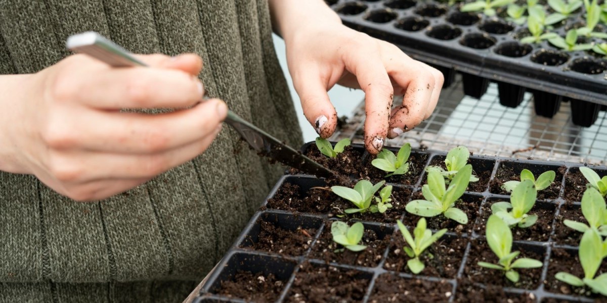 The Benefits of Using Root and Soil Fertility Booster: A Closer Look