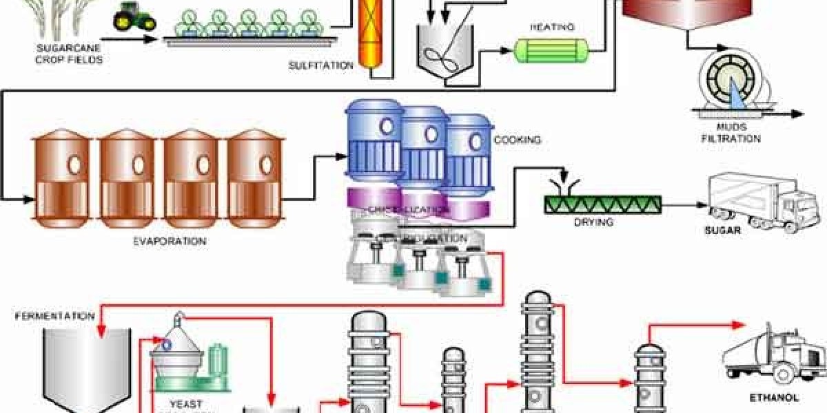 Renewable Ethanol Market Trends, Industry Growth and Forecast Report 2033