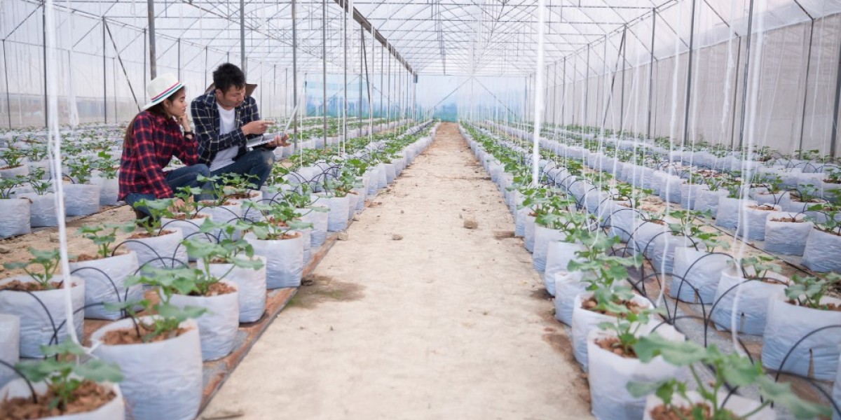 Indoor Farming in Canada: Growing Fresh Produce Year-Round