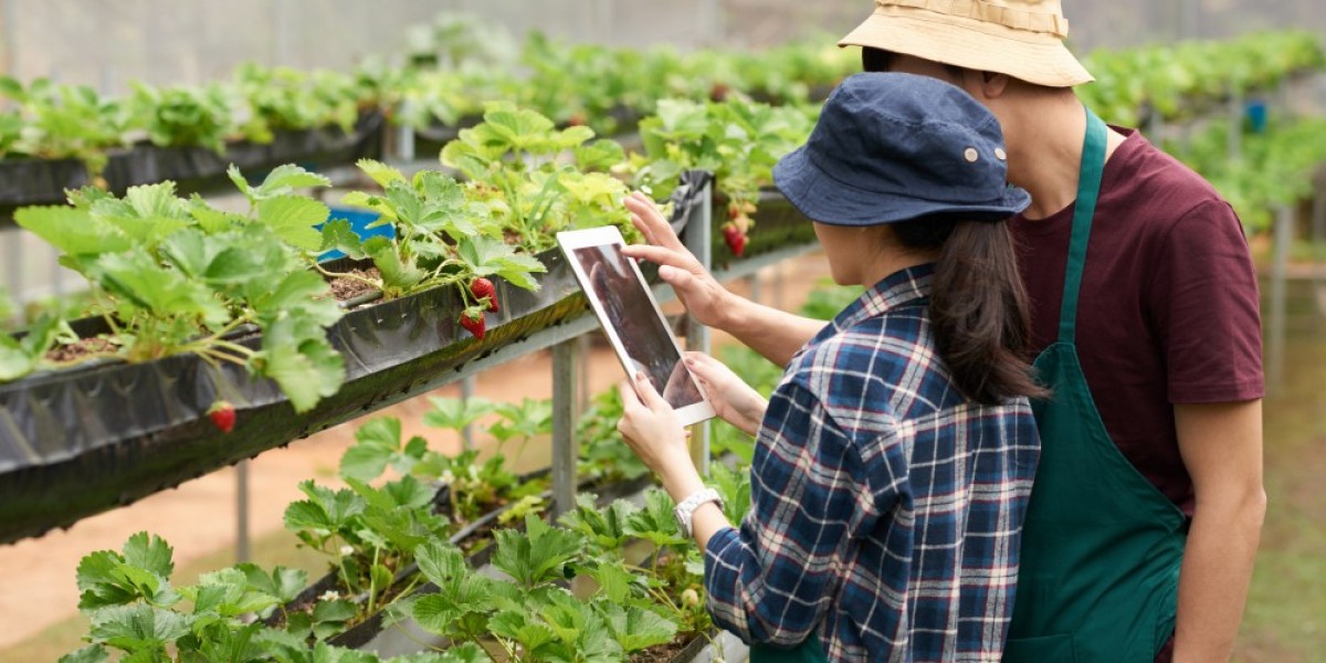 Artificial Intelligence in Agriculture: Enhancing Crop Yields and Sustainability