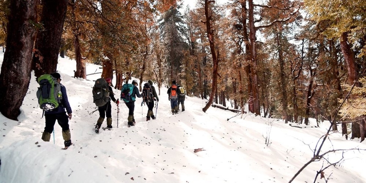 Unleash Your Inner Adventurer: Kedarkantha Trek, Here You Come!