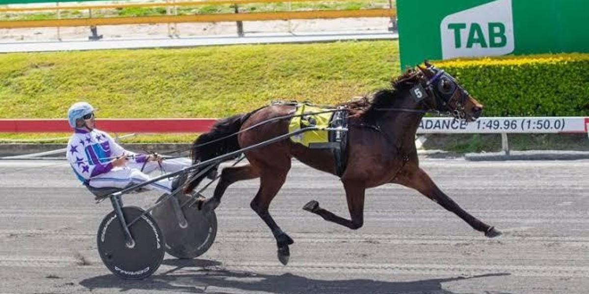 harness racing ownership in brisbane