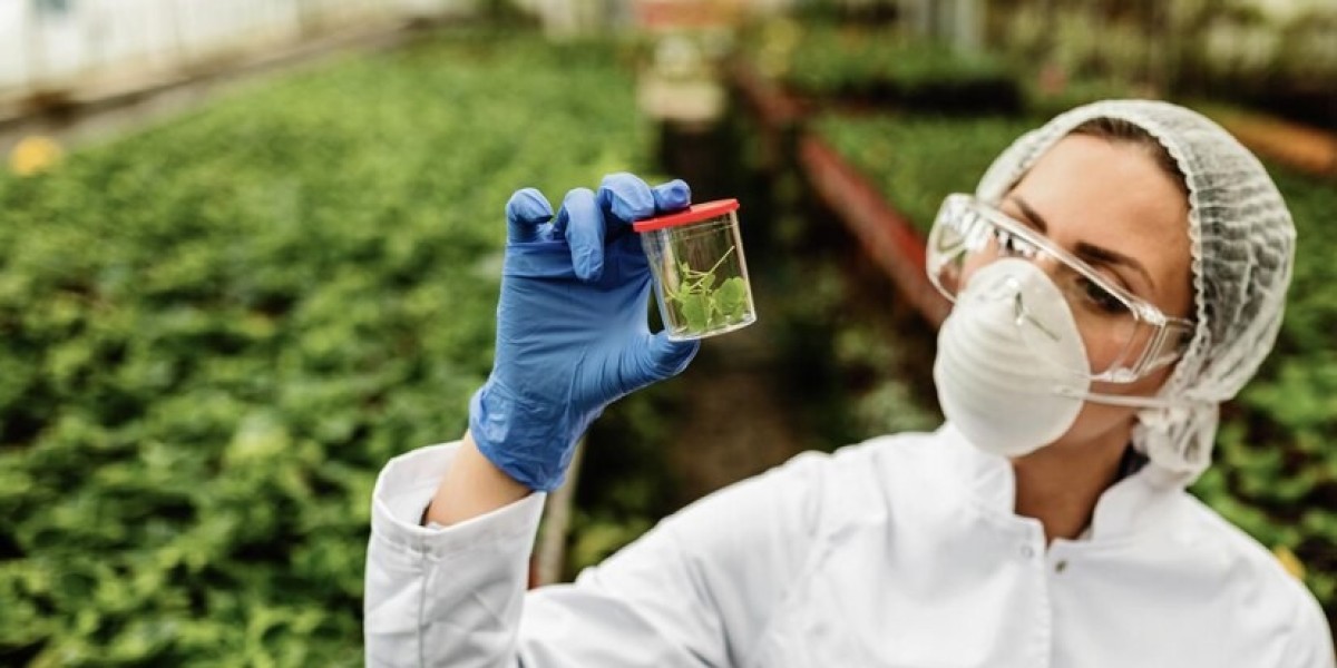 Agricultural Testing: Ensuring Quality and Safety Standards