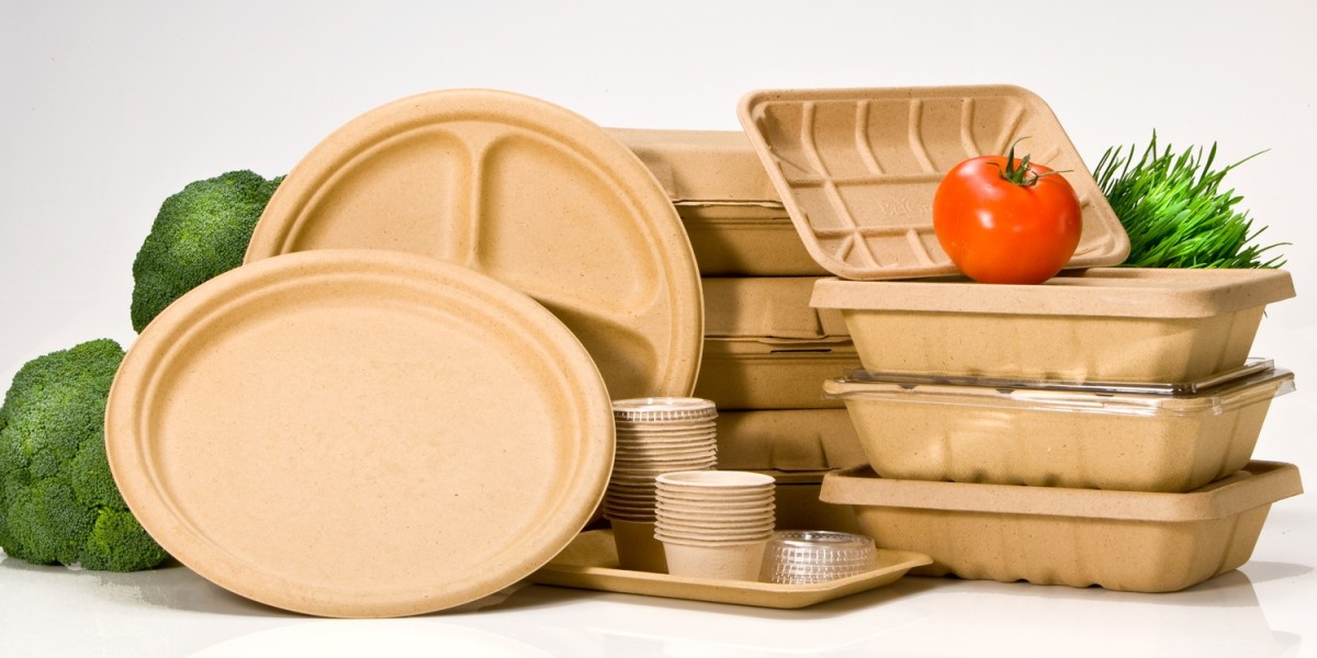 Europe Biodegradable Foodservice Disposable Market: A Sustainable Solution for the Future
