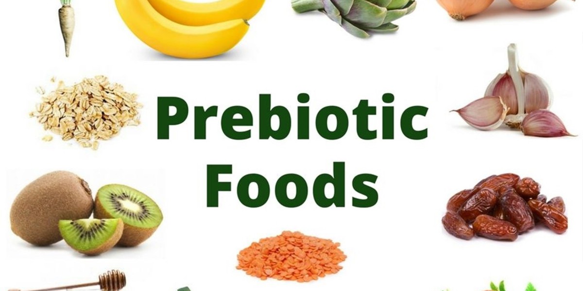 Sales of Prebiotic Ingredients Market is Set to Increase at Under 10.5% CAGR by 2027