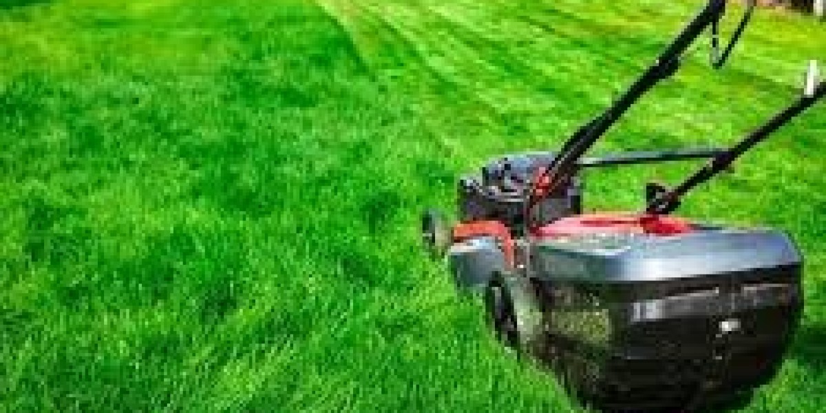 Expert Lawn Care Services in Torrance: How to Achieve a Lush Green Lawn Year-Round
