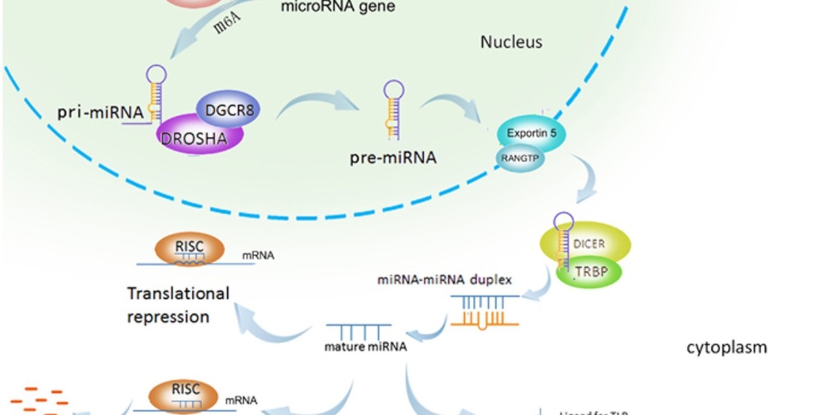 MicroRNA Market Trends, Industry Growth and Forecast Report 2030