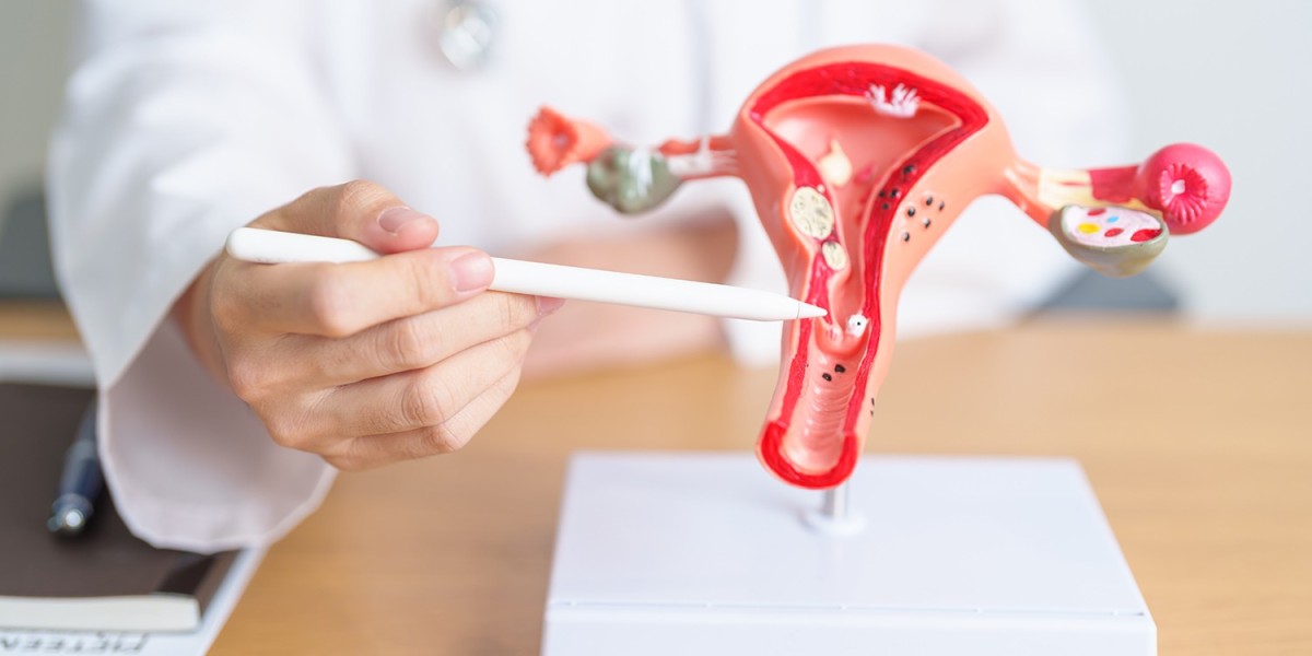 Uterine Fibroid Treatment Market Forecast: Impact of Regulatory Changes, Technological Breakthroughs