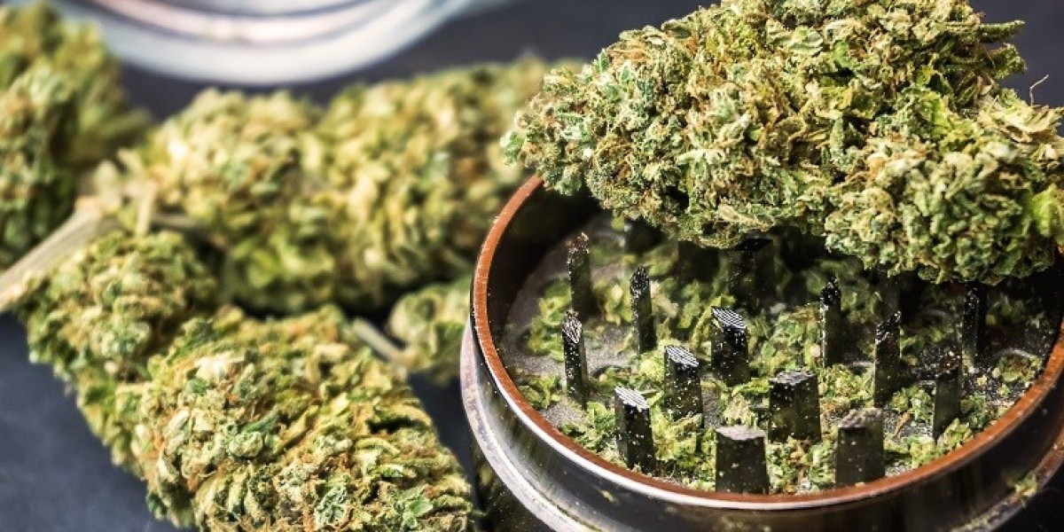 Buy Weed in Queens and Explore Our Vast Collection of Strains and Cannabis Products