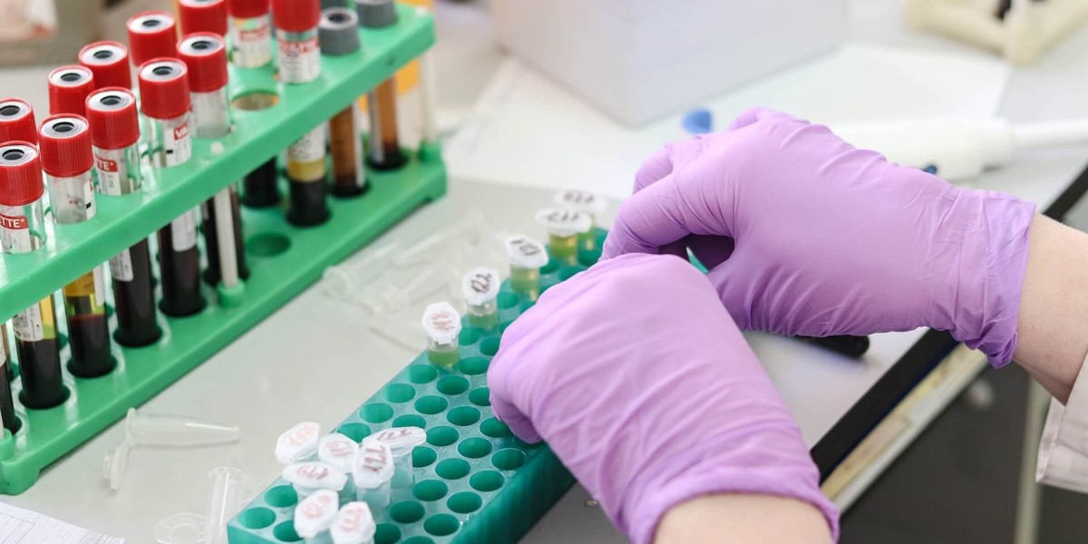 Isotope-Labelled Compounds: Essential Tools for Advanced Research and Drug Development