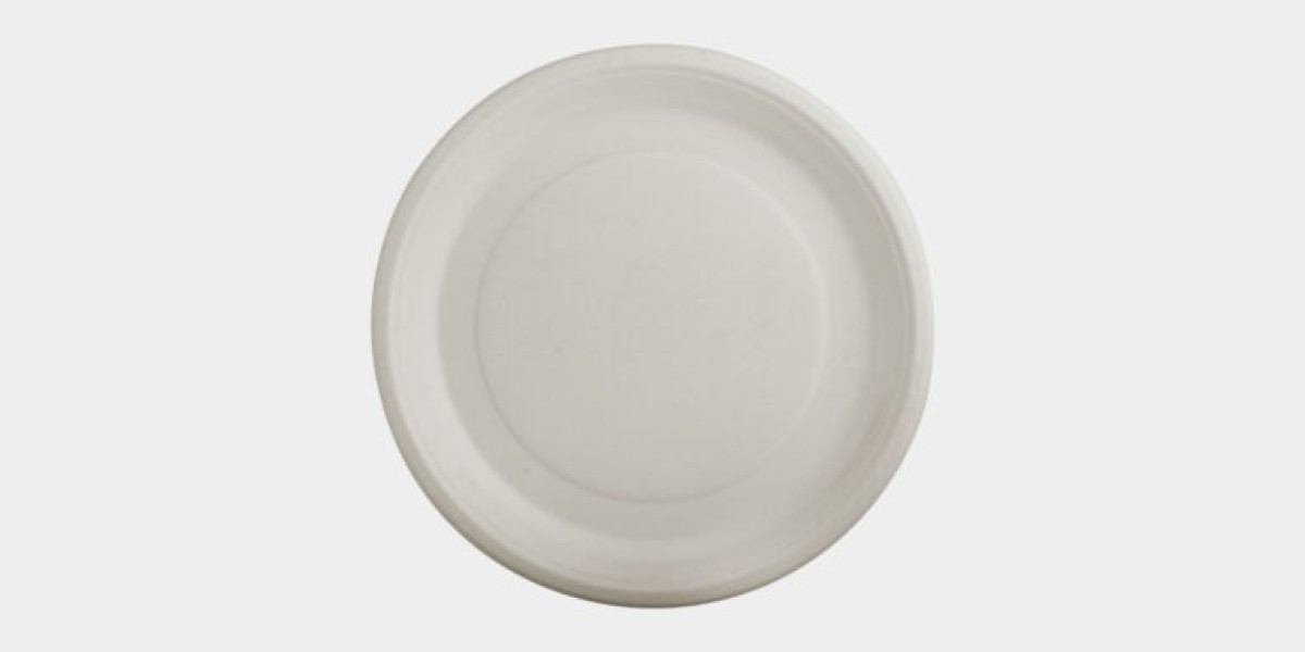 Guest Perception of Compostable Plates in USA Hotels: A Growing Demand for Sustainability