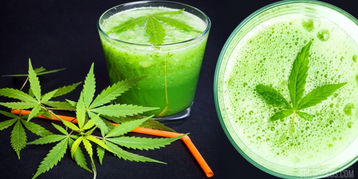 CBD Beverages Market: Identifying and Addressing Key Industry Challenges