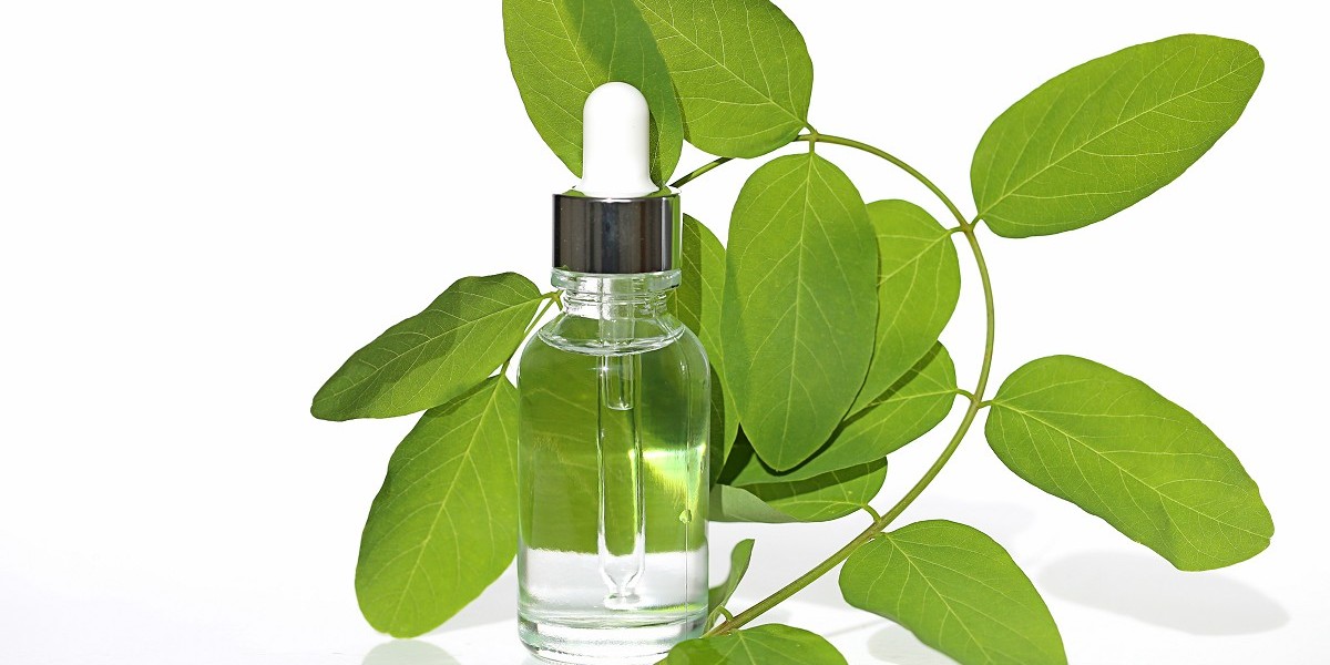 Botanical Extracts in the Spotlight: Applications in Health, Beauty, and More