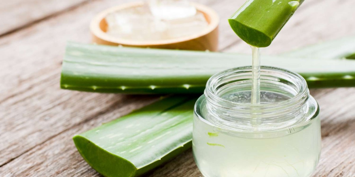 Aloe Vera Drink Market Trends: The Rise of Plant-Based Beverages and Functional Drinks