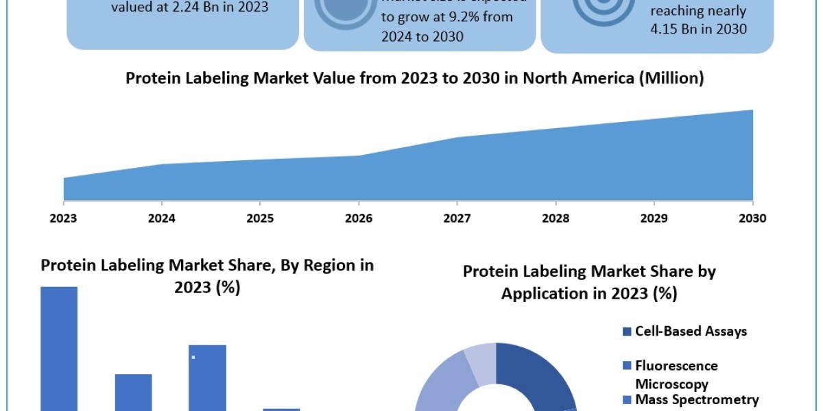 Protein Labeling Market Dynamics, Competitive Landscape, Top Leaders, Future Scope and Outlook 2030