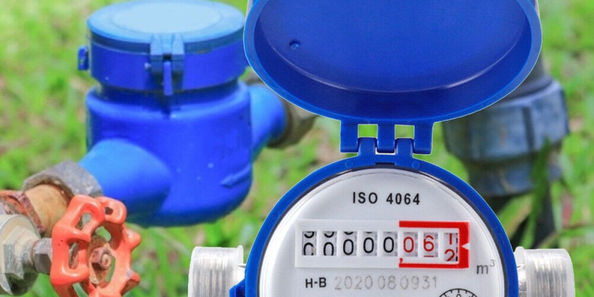 Smart Water Meter Market Projections in Terms of Value & Volume: Essential Insights for Investors and Policymakers