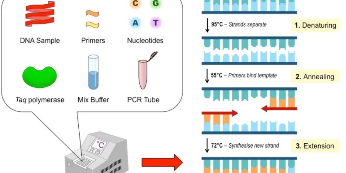 PCR Technology in Healthcare: A Game-Changer with Projected Market Value of USD 30.43 Billion by 2034