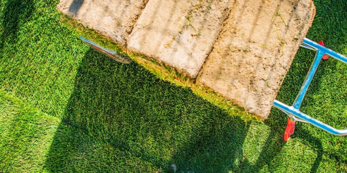 Erosion Control Managing Soil Erosion with Professional Solutions